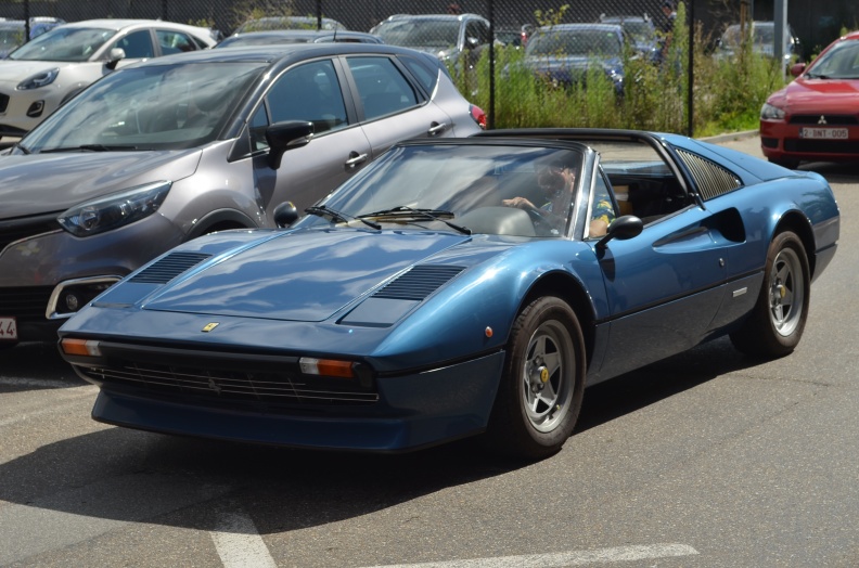 DSC_1981.JPG